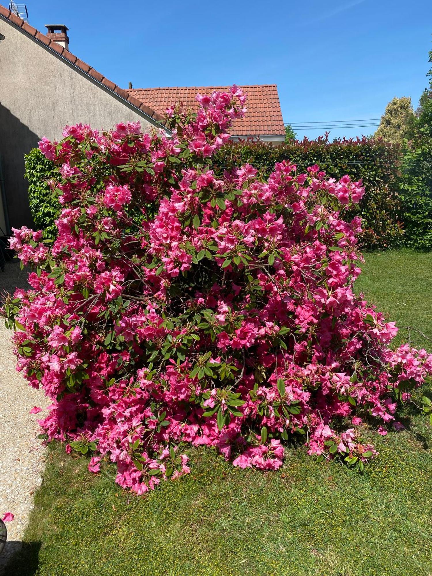 Le Petitepinay Moitron-sur-Sarthe Exterior foto